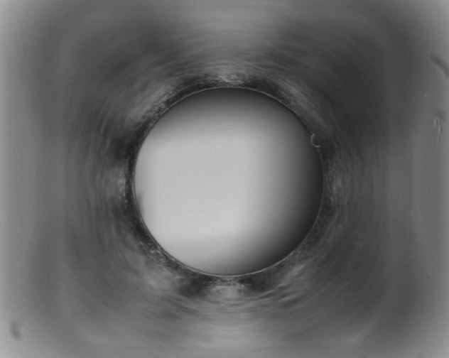 X0000099460595200805161049