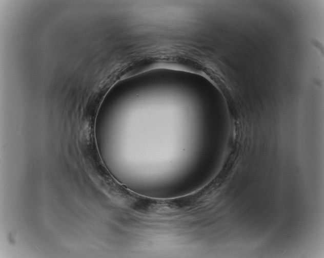 X0000099460597200805161049