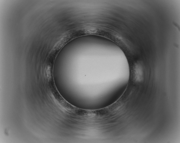 X0000099460598200805161049