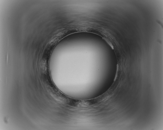 X0000099460599200805161049