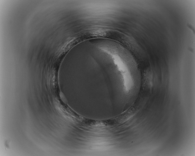 X0000099460600200805161049