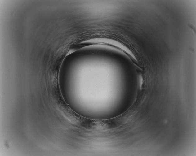 X0000099460601200805161049