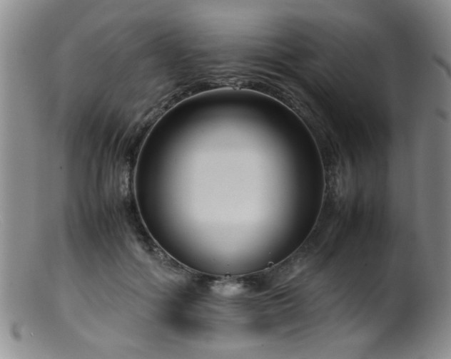 X0000099460602200805161049