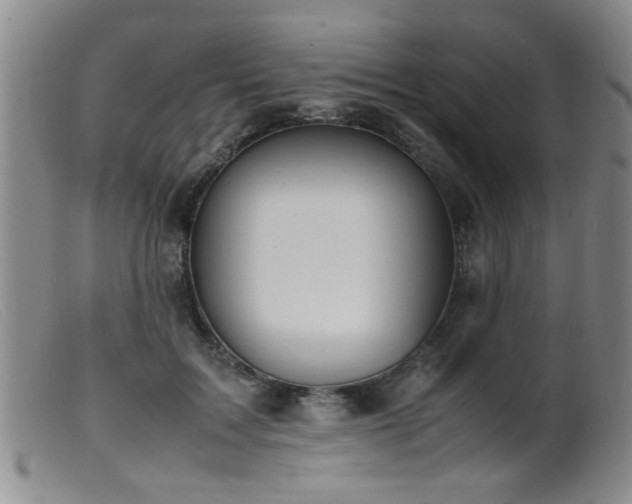 X0000099460603200805161049