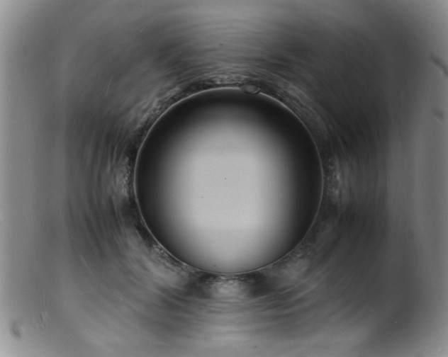 X0000099460604200805161049