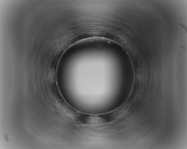 X0000099460605200805161049