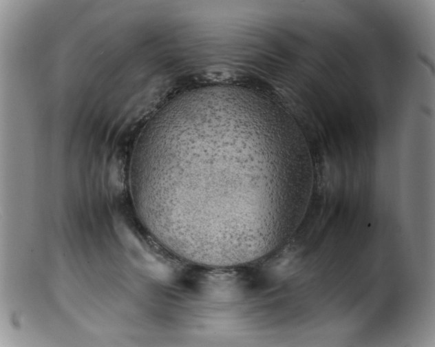 X0000099460606200805161049