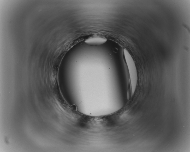 X0000099460607200805161049