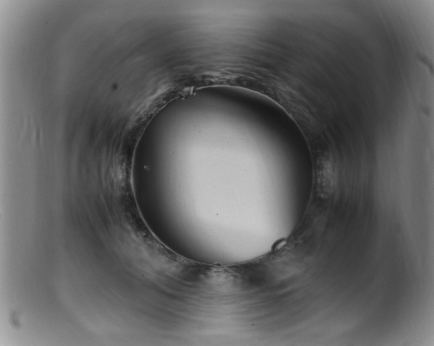 X0000099460608200805161049