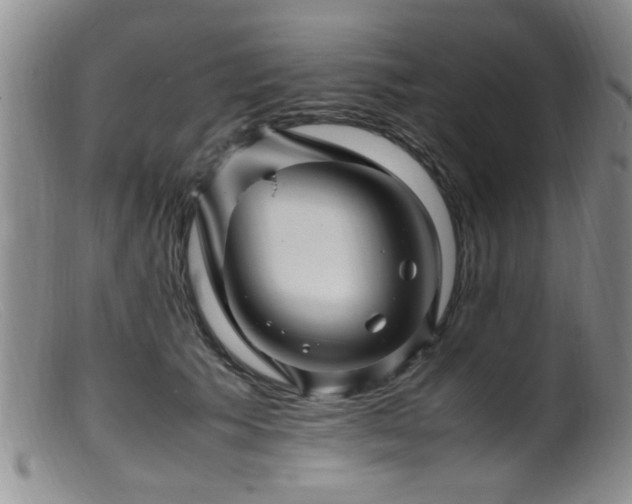 X0000099460609200805161049