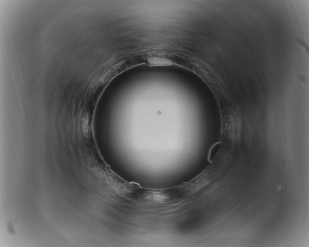 X0000099460610200805161049