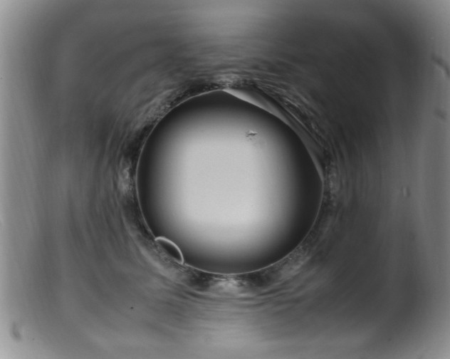 X0000099460611200805161049