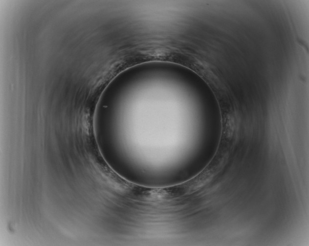 X0000099460612200805161049