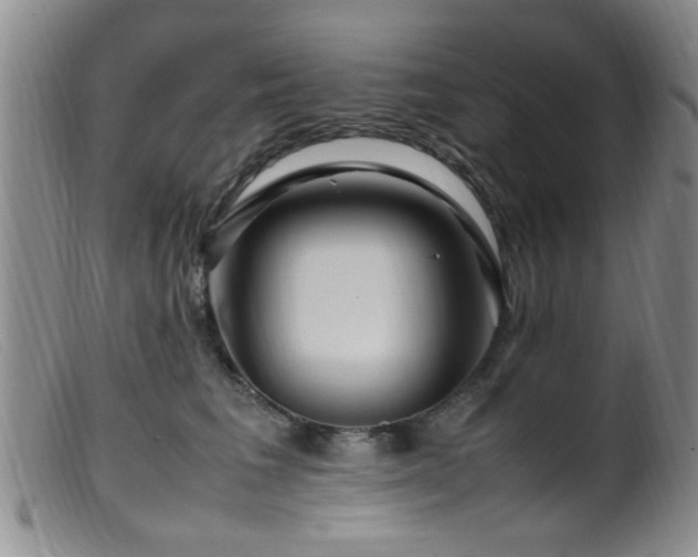 X0000099460613200805161048