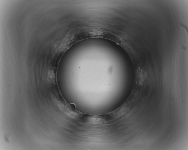 X0000099460614200805161048