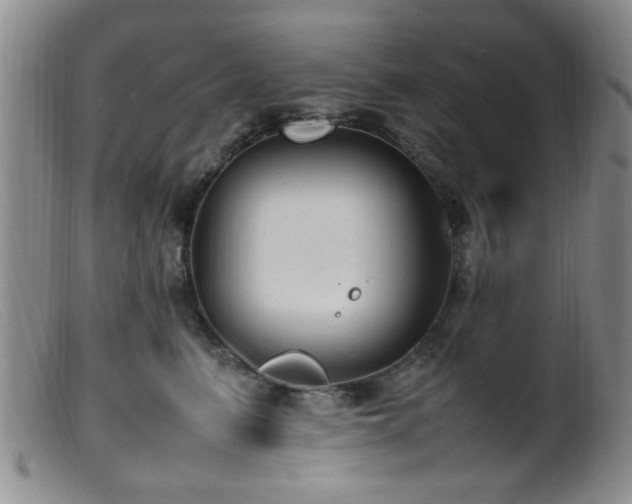 X0000099460615200805161048