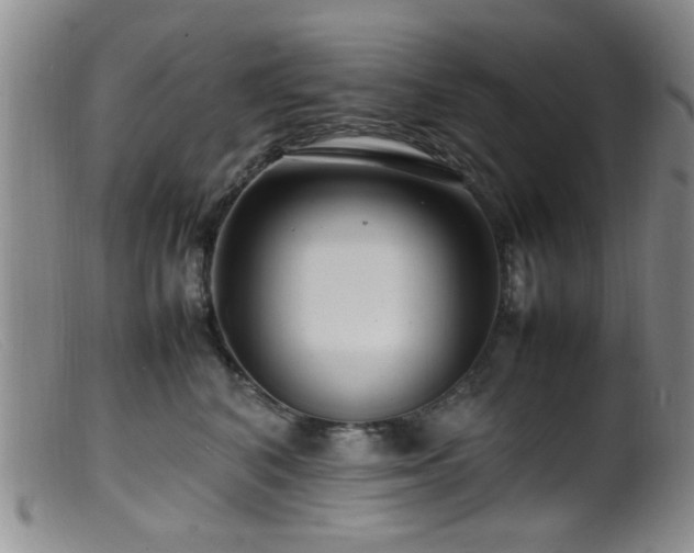 X0000099460616200805161048