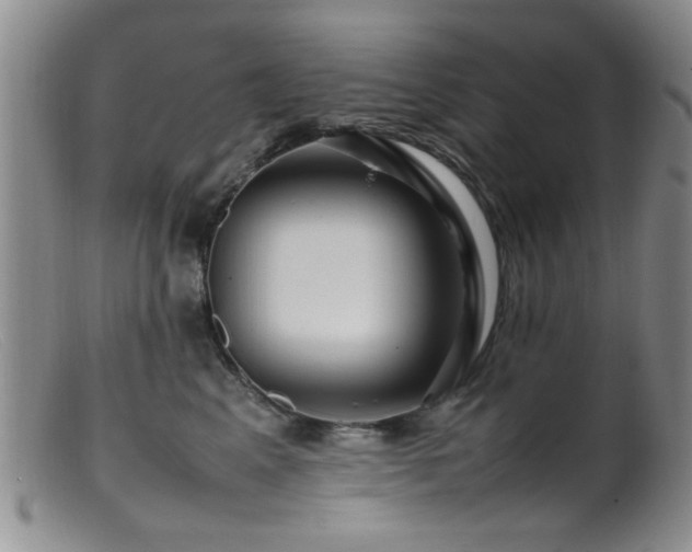 X0000099460617200805161048