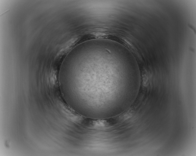 X0000099460618200805161048