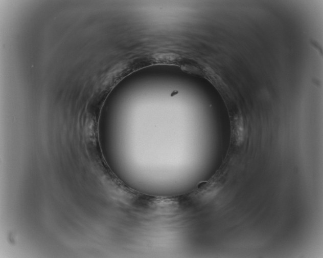 X0000099460619200805161048