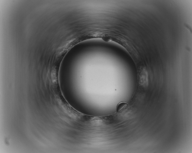 X0000099460620200805161048