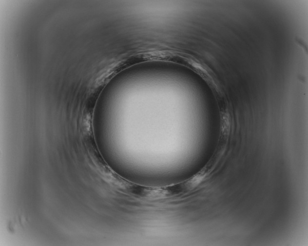 X0000099460621200805161048