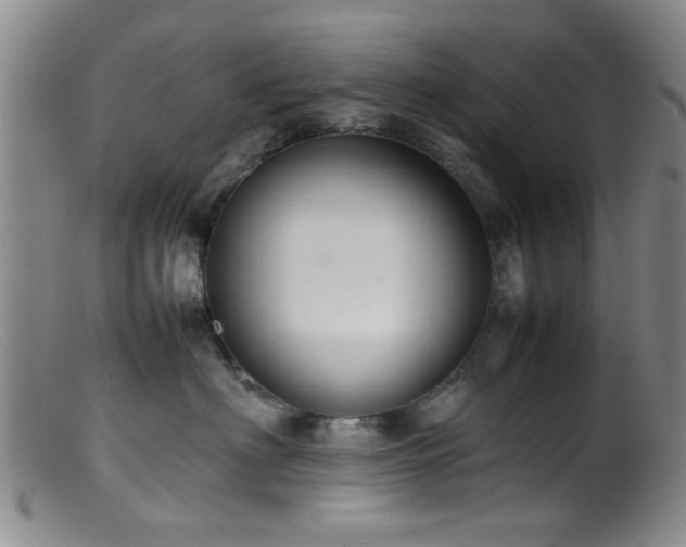 X0000099460622200805161048