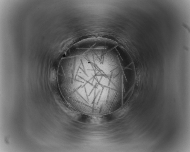 X0000099460623200805161048