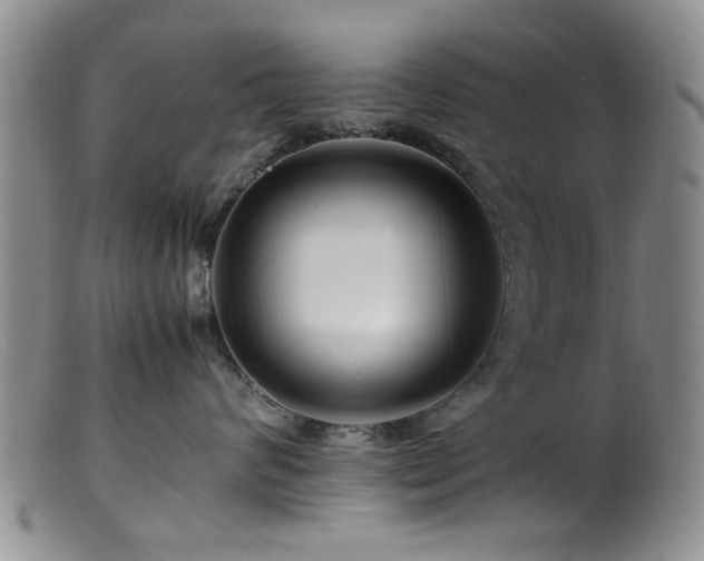 X0000099460624200805161048