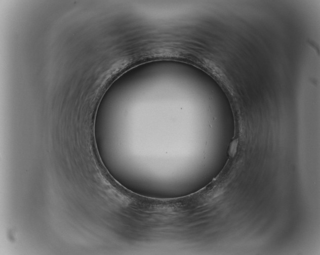 X0000099460625200805161047