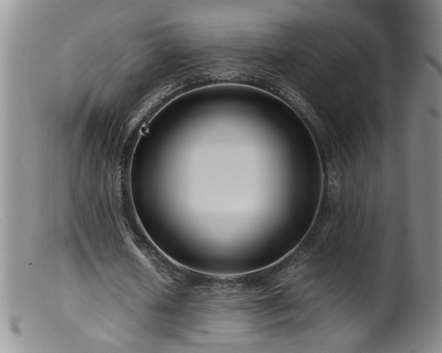 X0000099460626200805161048