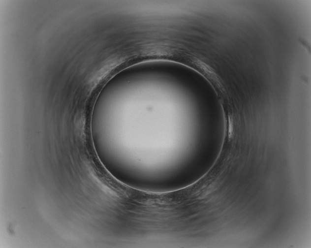 X0000099460627200805161048