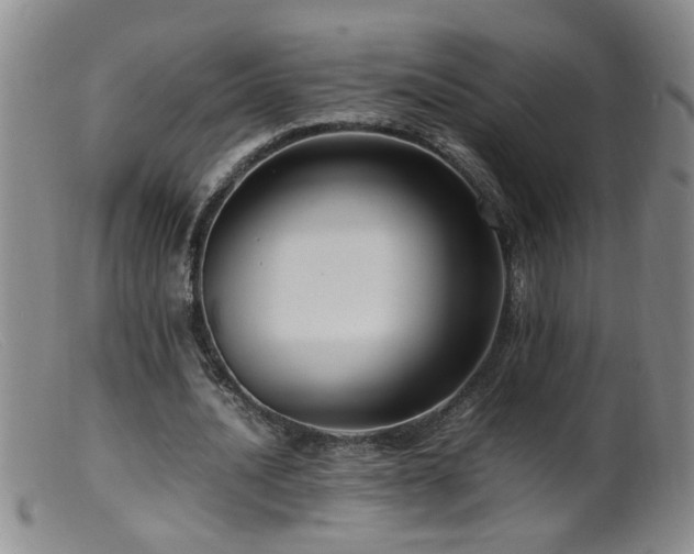 X0000099460628200805161048