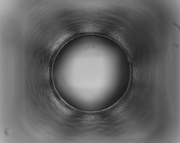 X0000099460629200805161048