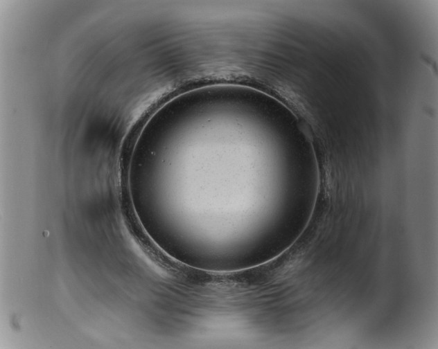 X0000099460630200805161048