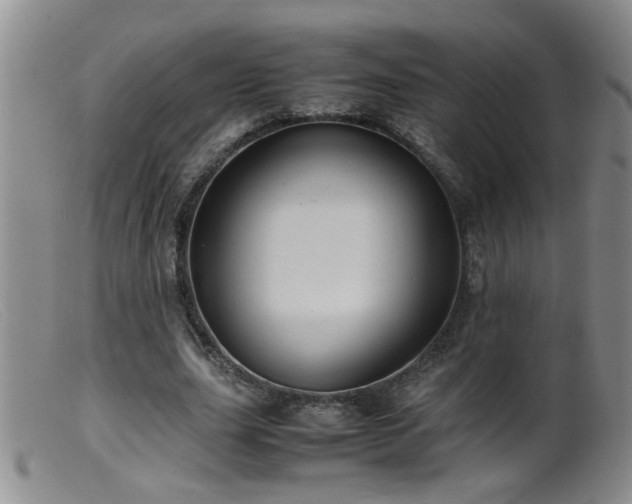 X0000099460631200805161048