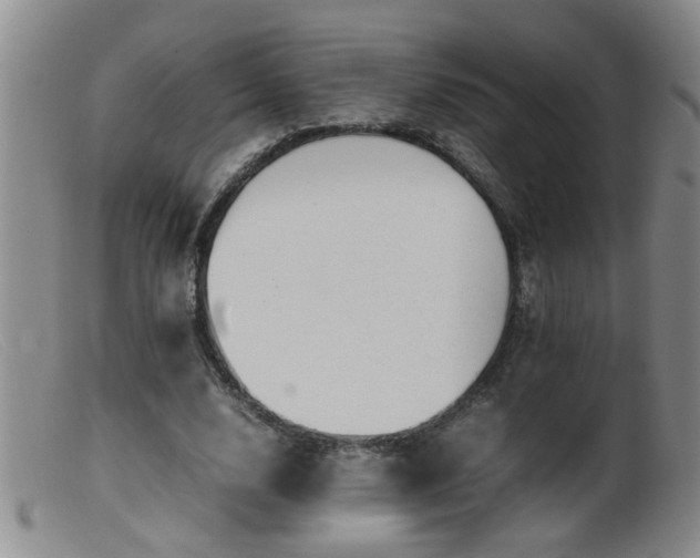 X0000099460632200805161048