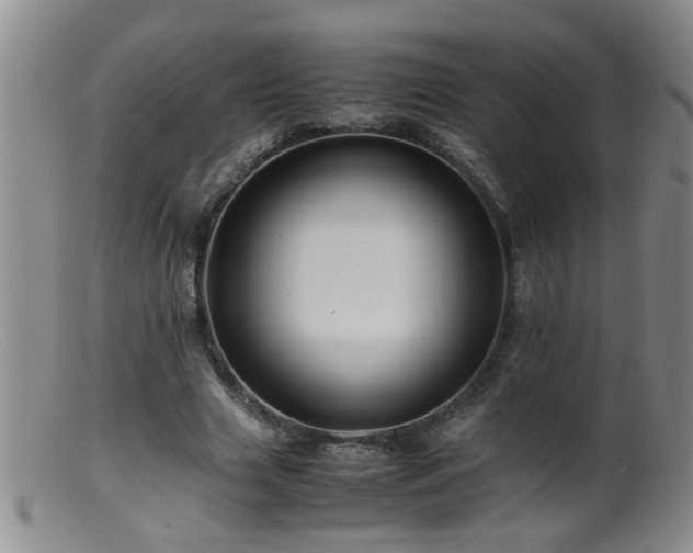 X0000099460633200805161048