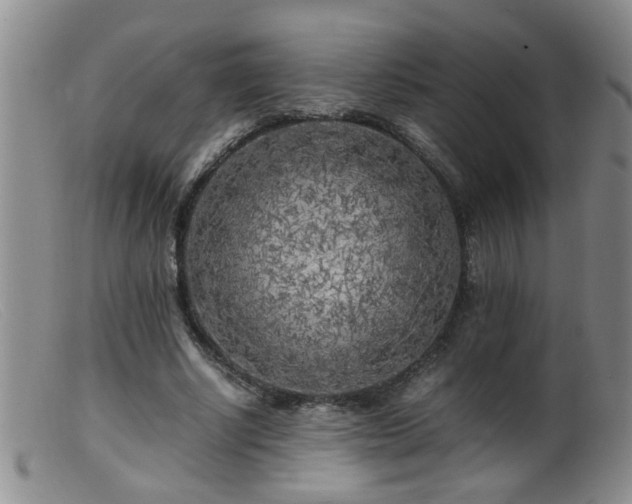 X0000099460634200805161048