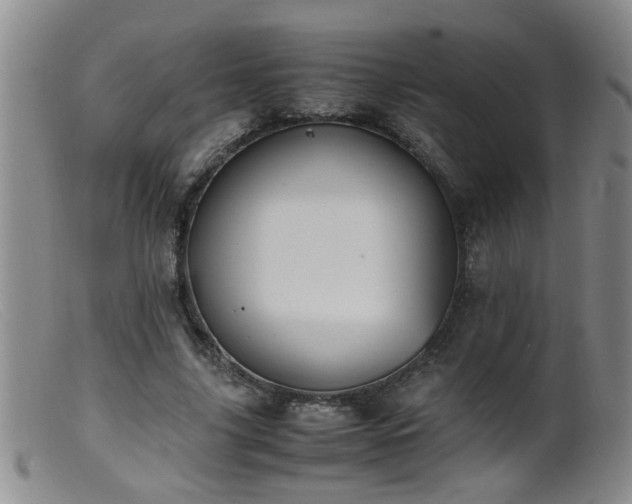 X0000099460635200805161048