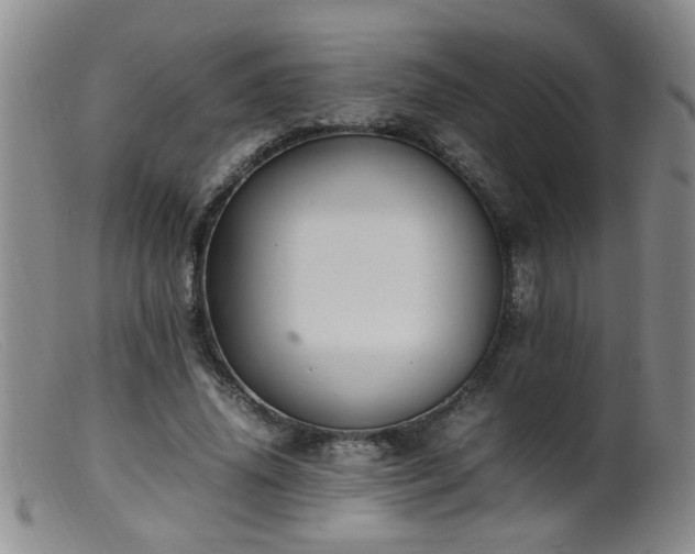 X0000099460636200805161048