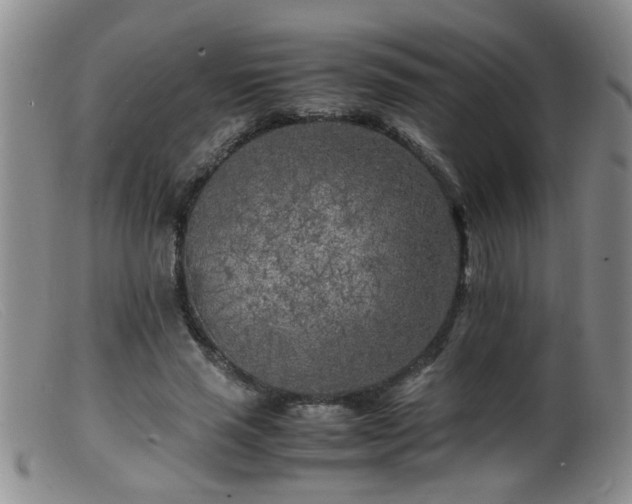 X0000099460637200805161048