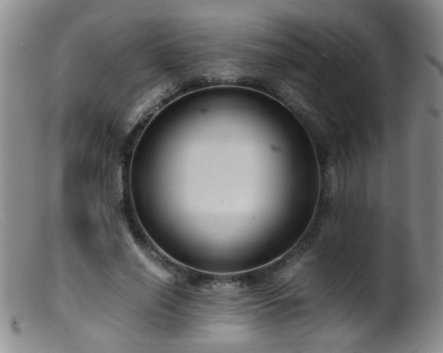 X0000099460638200805161048