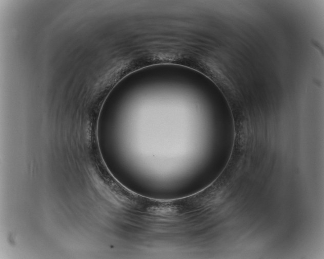 X0000099460639200805161048