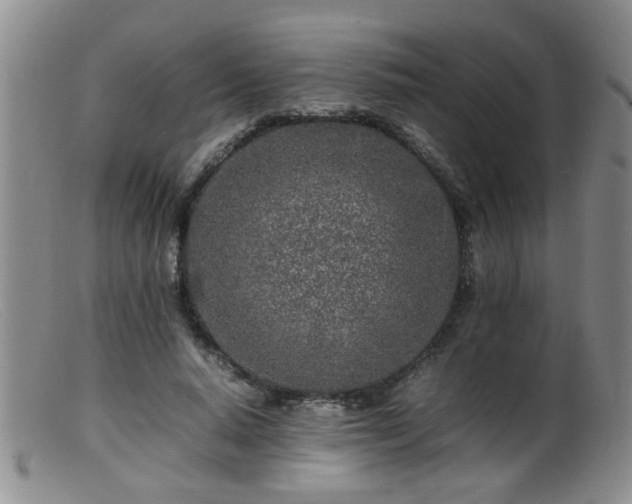 X0000099460640200805161048