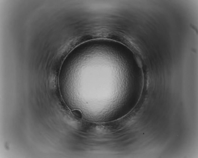 X0000099460641200805161048