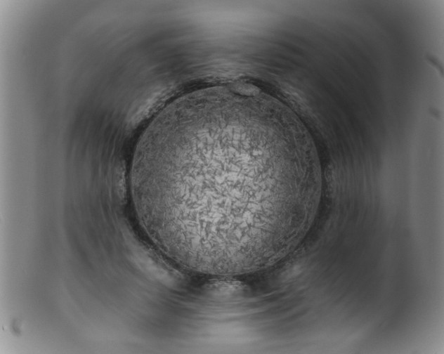 X0000099460642200805161048
