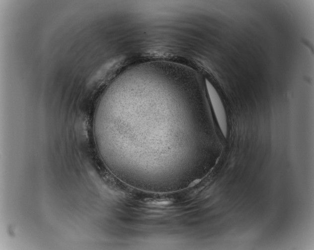 X0000099460643200805161048