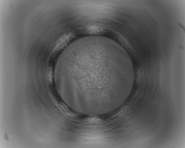 X0000099460644200805161048