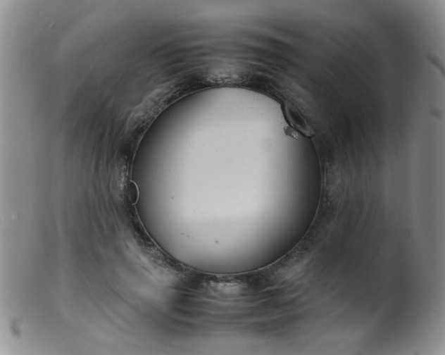 X0000099460645200805161048